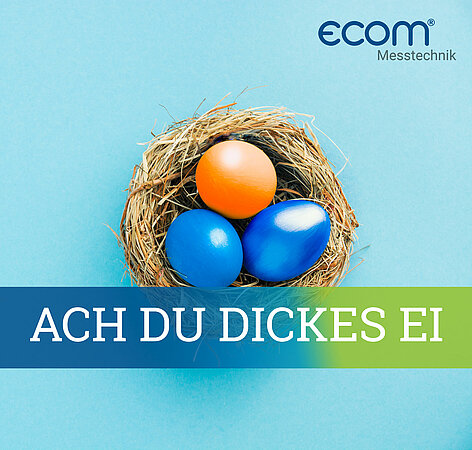 ecom: Welt-Ei-Tag
